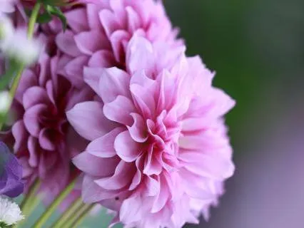 Finding Your Balance | A Gentle Practice