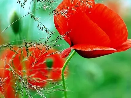 Finding Your Center - Root Chakra Meditation