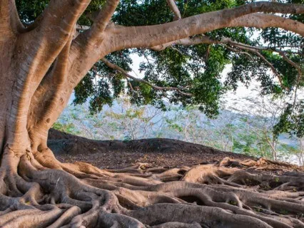 Finding Your Centre - Daily Mantra