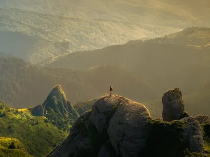 Finding Your Divine Path