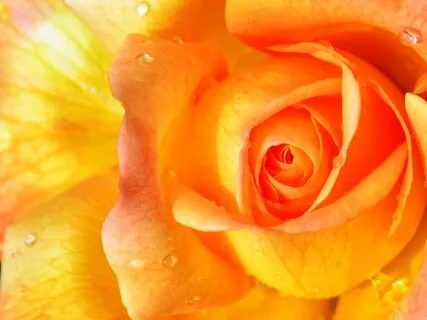 Finding Your Flow - Sacral Chakra Practice