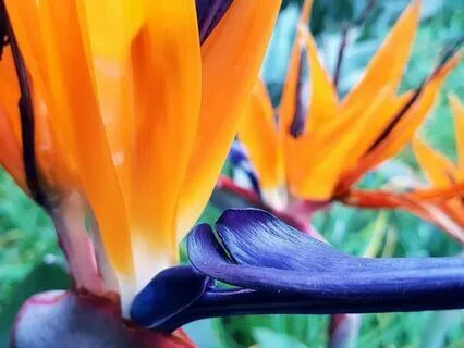 Finding Your Happy Place