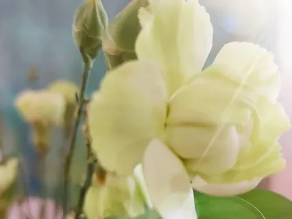 Finding Your Inner Center 