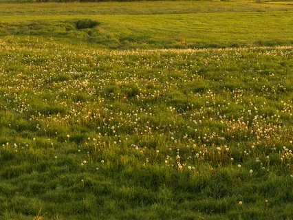 Finding Your Inner Resource