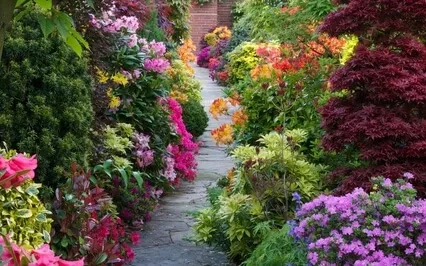 Finding Your Inner Sanctuary Of Peace