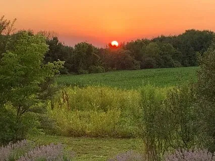 Finding Your Joy Meditation