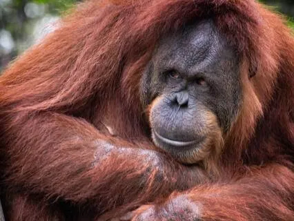 When Meditation Feels Hard