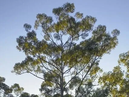 Finding Your Meditative Posture