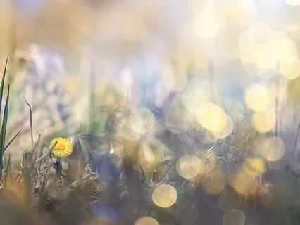 Finding Your Natural Breath