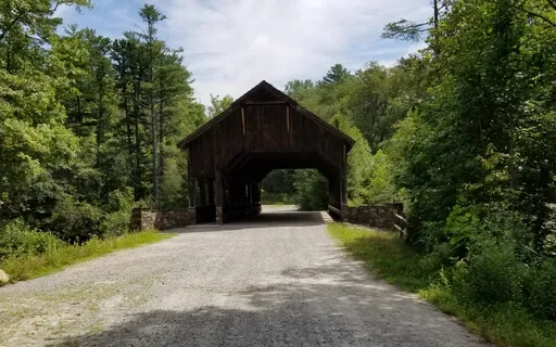 Finding Your Path Forward Visualization