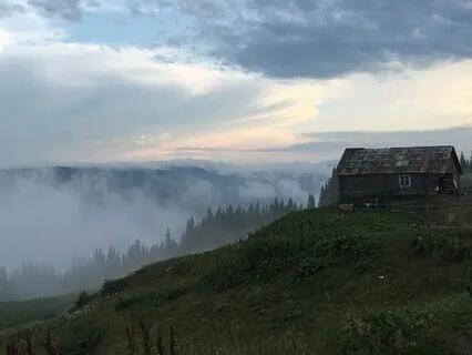 Finding Your Perfect Summer Cabin