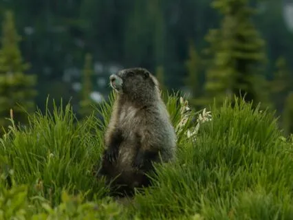 Finding Your Power: Gossip And Presence • No Music