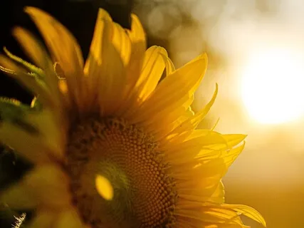 Finding Your Power - Solar Plexus Chakra Meditation