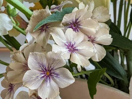 Finding Your Power To Create (With Music)