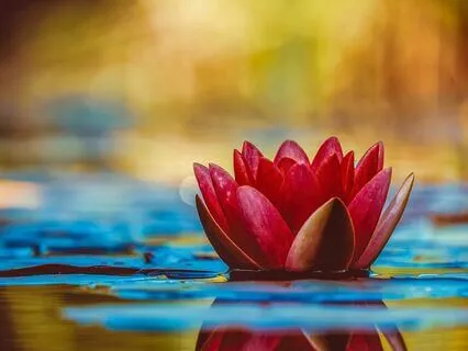 Finding Your Relationship with Awareness