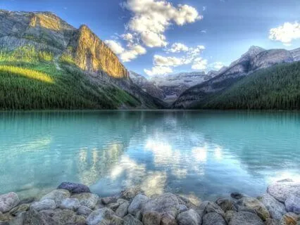 Finding your Solace: Immediate Anxiety Relief