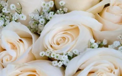 Finding Your Soulmate