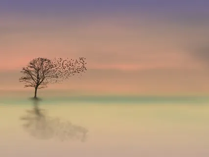 Finding Your Sweet Spot