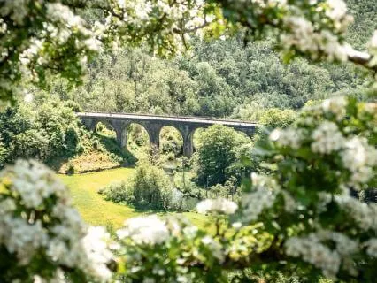 Finding Your Way Back: Hypoarousal & The Window Of Tolerance