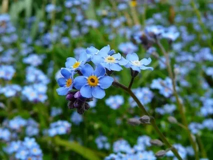 Finding Your Way From Within - May 08