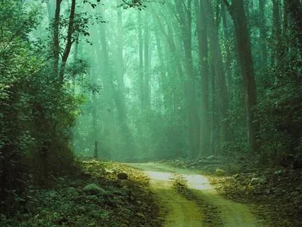 Finding Your Way Here: Trauma-Sensitive Orienting Meditation