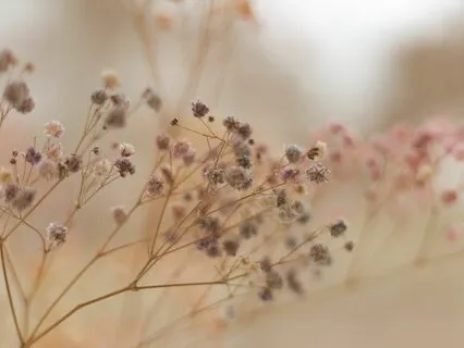 Fine Tuning #1 - Binaural Beats For Sleep