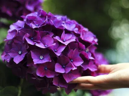 Finger-Holding Practice For Comfort & Energetic Rebalancing