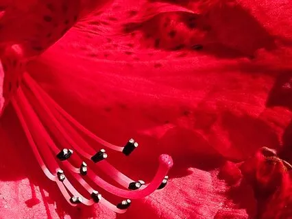 Fingers & Toes Meditation--Tactile And Energy Work