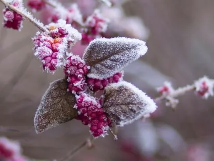 Finnish Folklore: Nuutti And The Winter Time God