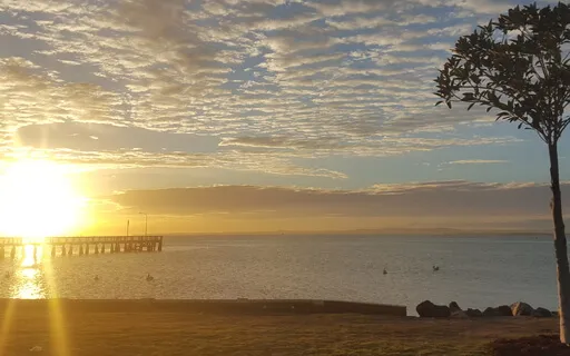 Fire Element - Dance With Transformation