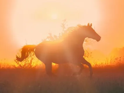 Fire Horse Embodying Inner Fire