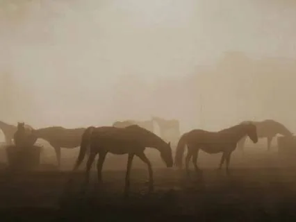 Year Of The Horse: Direction & Momentum