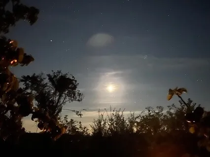 Fire In My Heart (Song)