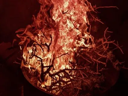 Fire Meditation:  Heart And Small Intestine