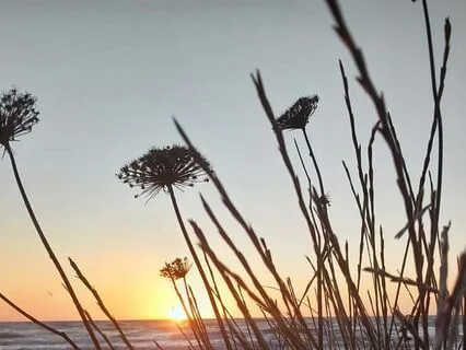 Fire Meditation - Transform Your Life