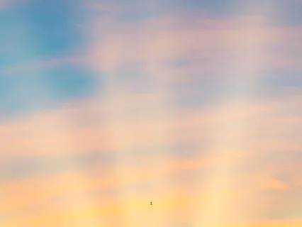 Fire Of Awareness | Parshat Balak