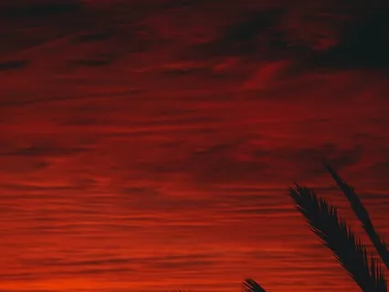 Fire Of The Heart Meditation