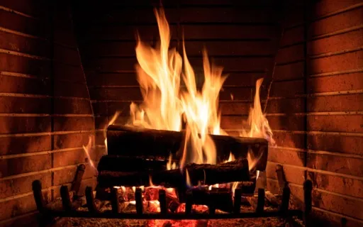 Fireplace Extended Burning Logs