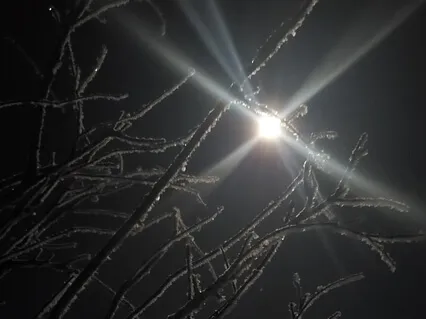 Fireside Chat - A Psychedelic Interpretation Of Sound Baths