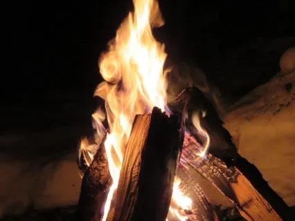 Fireside Fables: Feed The Right Wolf