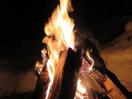 Fireside Fables: The Music The Reed Makes