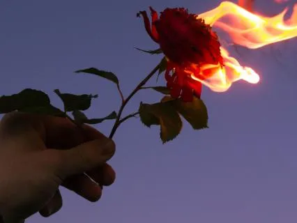 Fireside Sleep Story