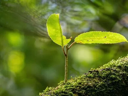 First Aid Practice For Challenging Times - SCOPE Practice