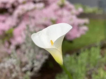 First & Last Breath Guided Meditation