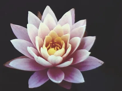 Mindfulness Of Body And Breath