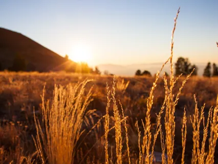 First Light Morning Intentions