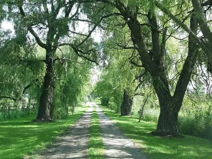First Responders Meditation