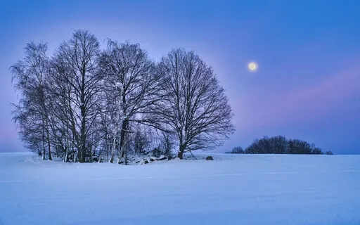 First Snow On The Prairie: Snowy Sleep Story