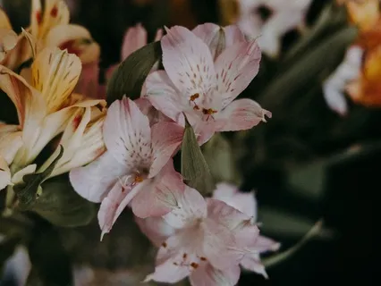 First Time Meditating | 7-Minute Meditation