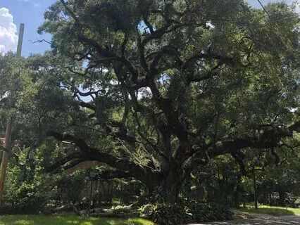 First Time Mom's First Birth